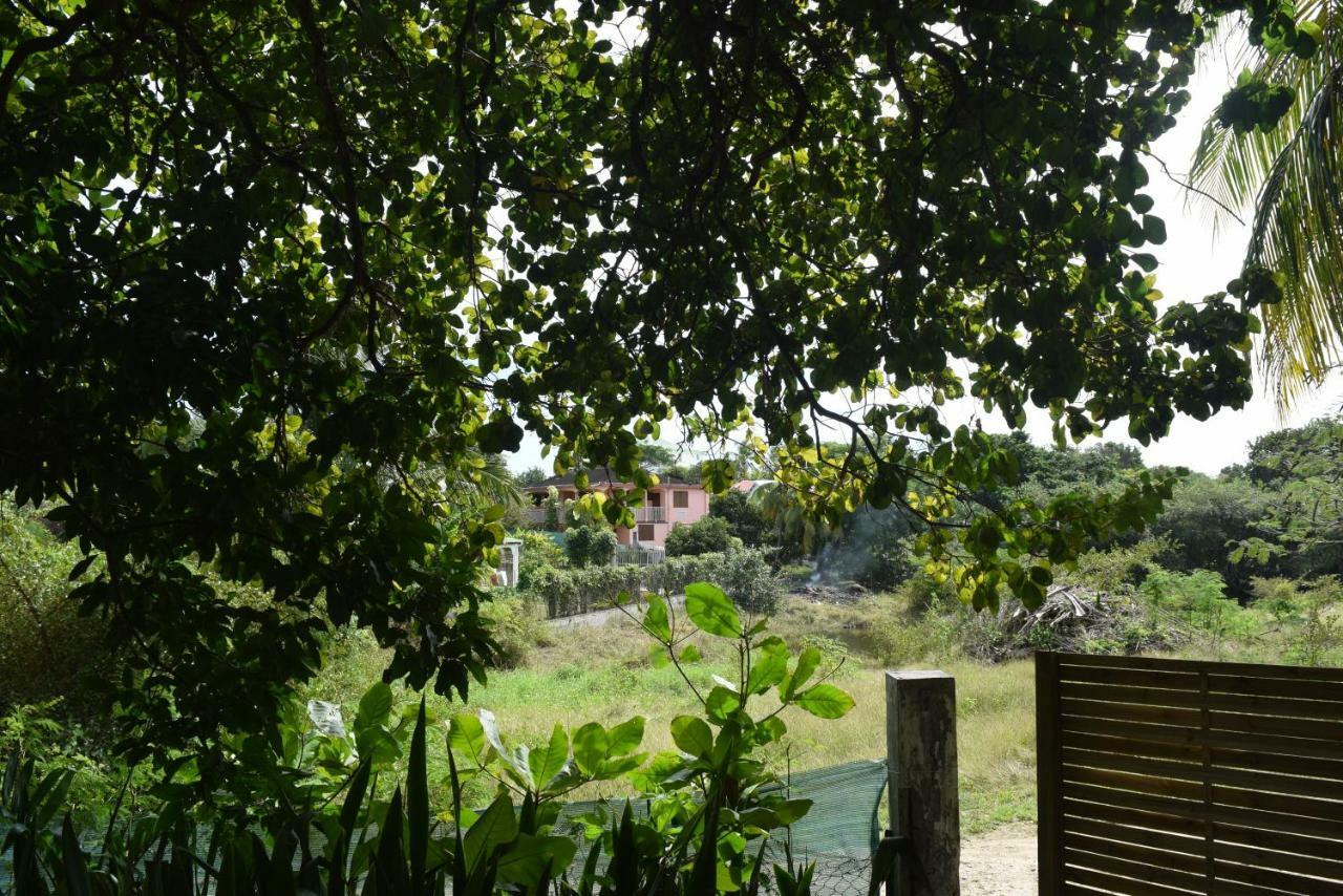 Bungalows Les Vagues Abondes Villa Sainte-Anne  Eksteriør billede